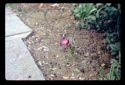 Slide026.jpg